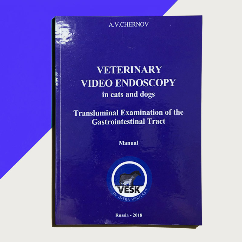 Veterinary Video Endoscopy